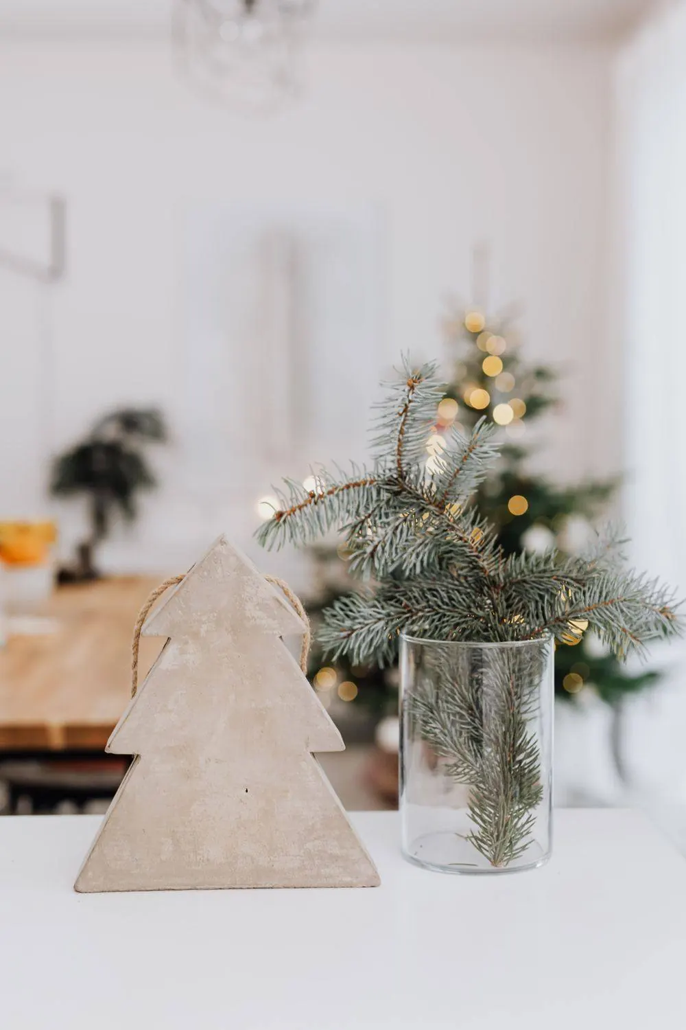 Minimal wooden tree and fir branches in a vase
